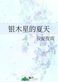 銀木星的夏天