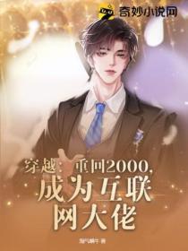 穿越：重回2000，成為互聯網大佬