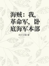 海賊：我，革命軍，臥底海軍本部