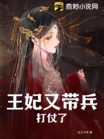 王妃又帶兵打仗了