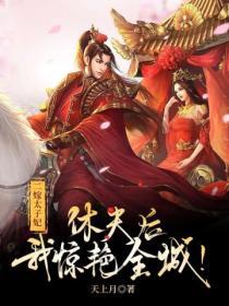 二嫁太子妃，休夫後我驚豔全城！