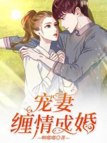 寵妻纏情成婚