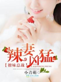 撩妹总裁：辣妻凶勐