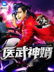 医武神婿