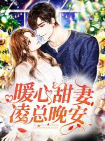 暖心甜妻淩總晚安