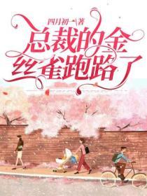 總裁的金絲雀跑路了