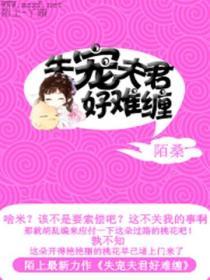 失寵夫君好難纏