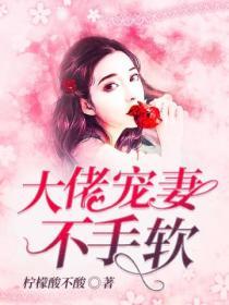 大佬寵妻不手軟