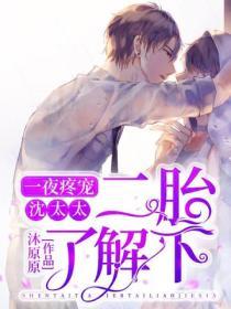 一夜疼寵：沈太太，二胎了解下