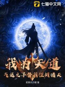 我為天道，氣運之子替我征戰諸天