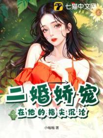 二婚嬌寵：在他的指尖沉淪