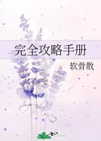 完全攻略手冊