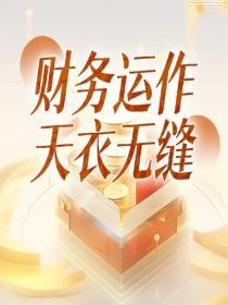 財務運作天衣無縫