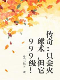 传奇：只会火球术，但它999级！