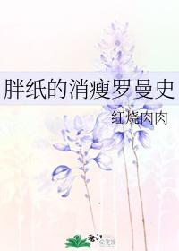 胖紙的消瘦羅曼史