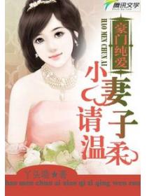 豪門純愛:小妻子請溫柔
