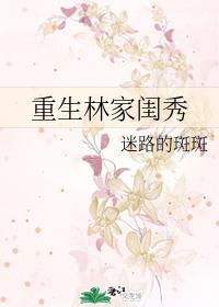 重生林家闺秀