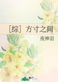 [综]方寸之间