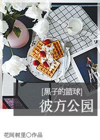 黑子的篮球彼方公园