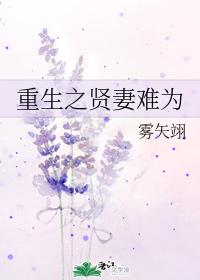 重生之賢妻難為