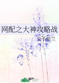 網配之大神攻略戰