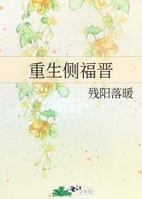 重生侧福晋