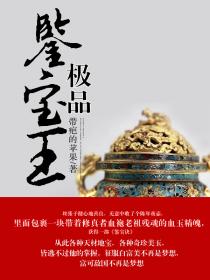 極品鑒寶王