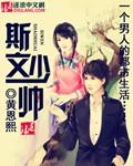 斯文少帥