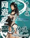 网游之菜鸟传说