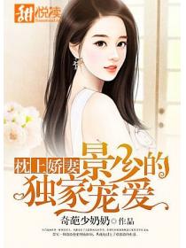 枕上娇妻：景少的独家宠爱