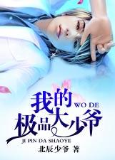 我的極品大少爺