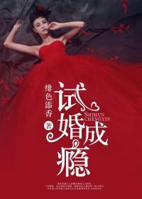試婚成癮：總裁老公晚上好