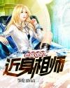 老板娘的近身相師