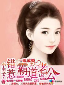 一纸成婚之错惹霸道老公