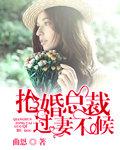 抢婚总裁独宠旧爱