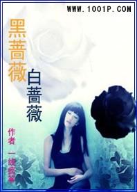 黑蔷薇白蔷薇