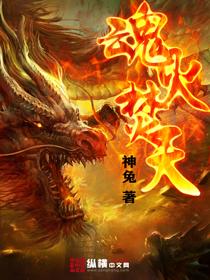 魂火焚天