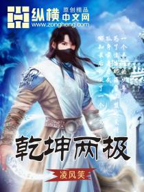 干坤两极