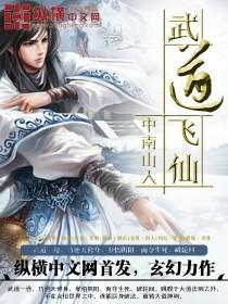 武道飞仙