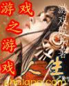 游戏之游戏人生