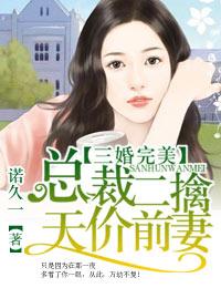 三婚完美,總裁二娶天價前妻