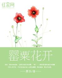 罂粟花开