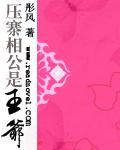 压寨相公是王爷