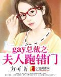 gay总裁之夫人跑错门