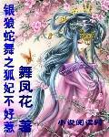 银狼蛇舞之狐妃不好惹