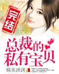 总裁的私有宝贝【完】