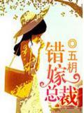 错嫁总裁