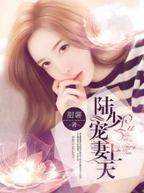陆少宠妻上天