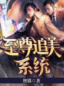 至尊追美系统