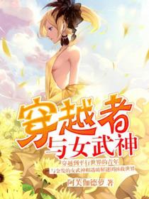 穿越者与女武神